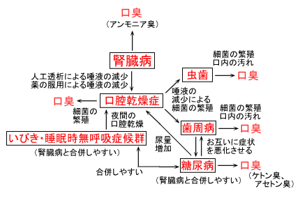 腎臓病と口臭