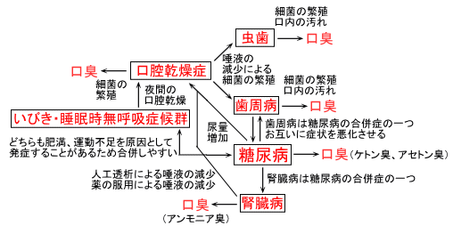 糖尿病と口臭