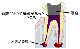 됫