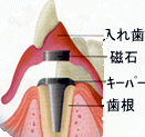 ΂gpꎕ