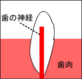 _ô鎕