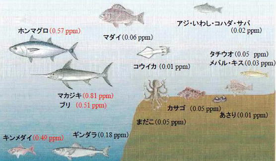 魚介類の総水銀値