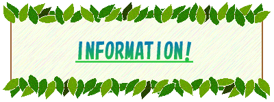 Information 