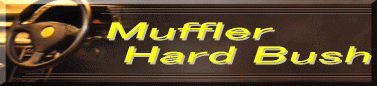 Muffler Hard Bush