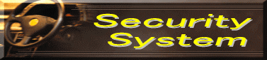 security system